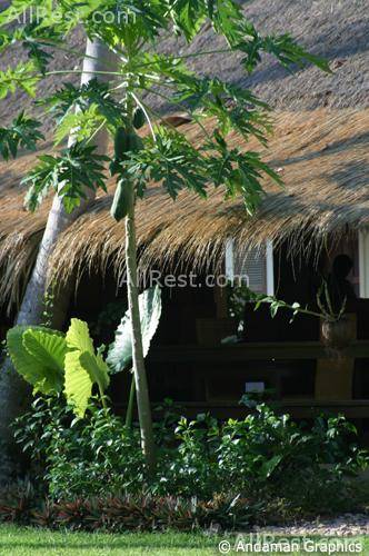 Koyao Island Resort 52